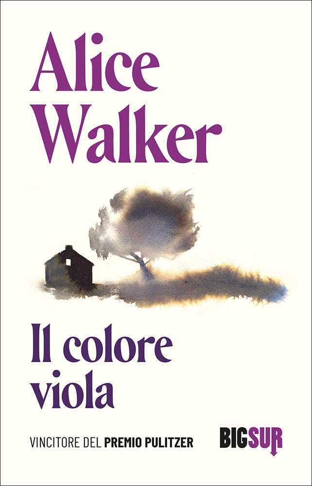 Il colore viola Alice Walker SUR