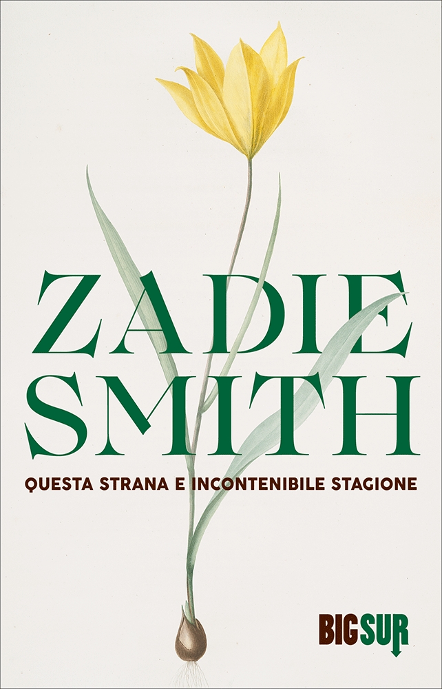 questa strana e incontenibile stagione zadie smith