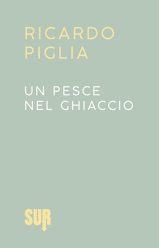scatti9_piglia_unpescenelghiaccio_cover