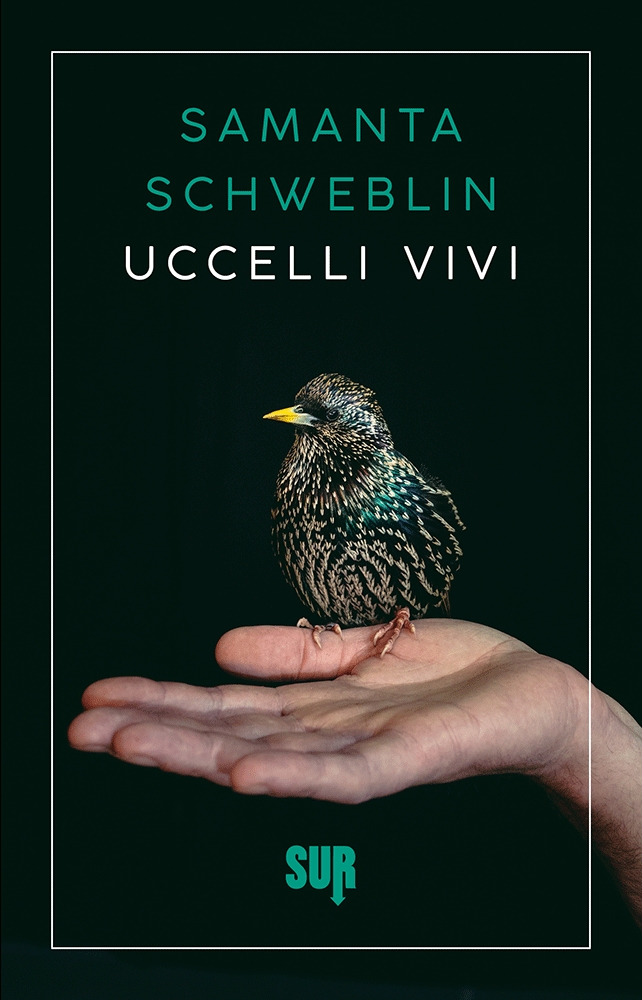 SURns73_Schweblin_UccelliVivi_COVER