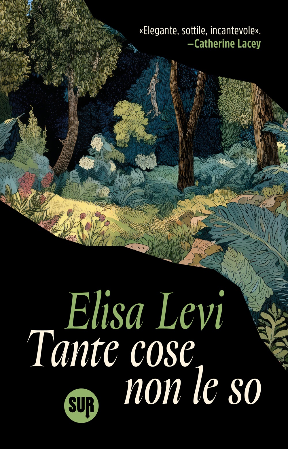 Collezionesur48 Levi Tantecosenonleso Cover
